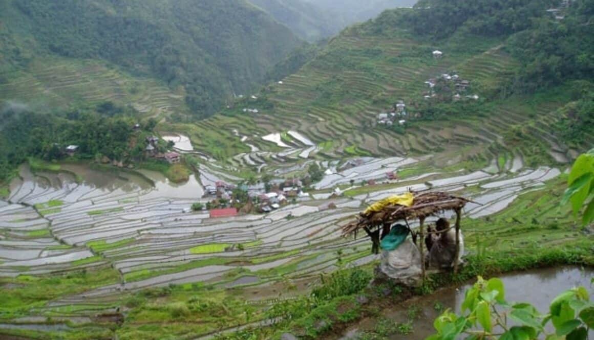 Filipino_farmhands